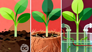 /blog/rassada-osobennosti-plyusy-i-minusy-vyrashchivaniya-rassady-v-razlichnykh-substratakh/