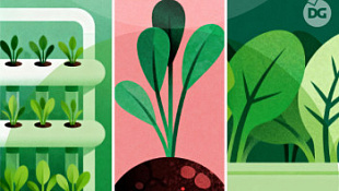 /blog/mikrozelen-osobennosti-vyrashchivaniya/