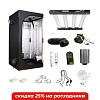 Гроубокс GARDEN HIGHPRO® Пробокс Бейсик 80 & Lucius® Black Label 240 Вт